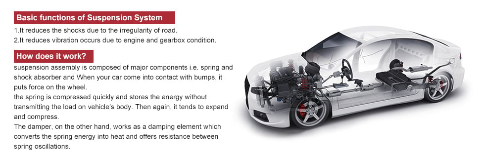 2003-2011 Honda Element Rear Struts w/Spring Shocks Absorber Assembly 2Pcs